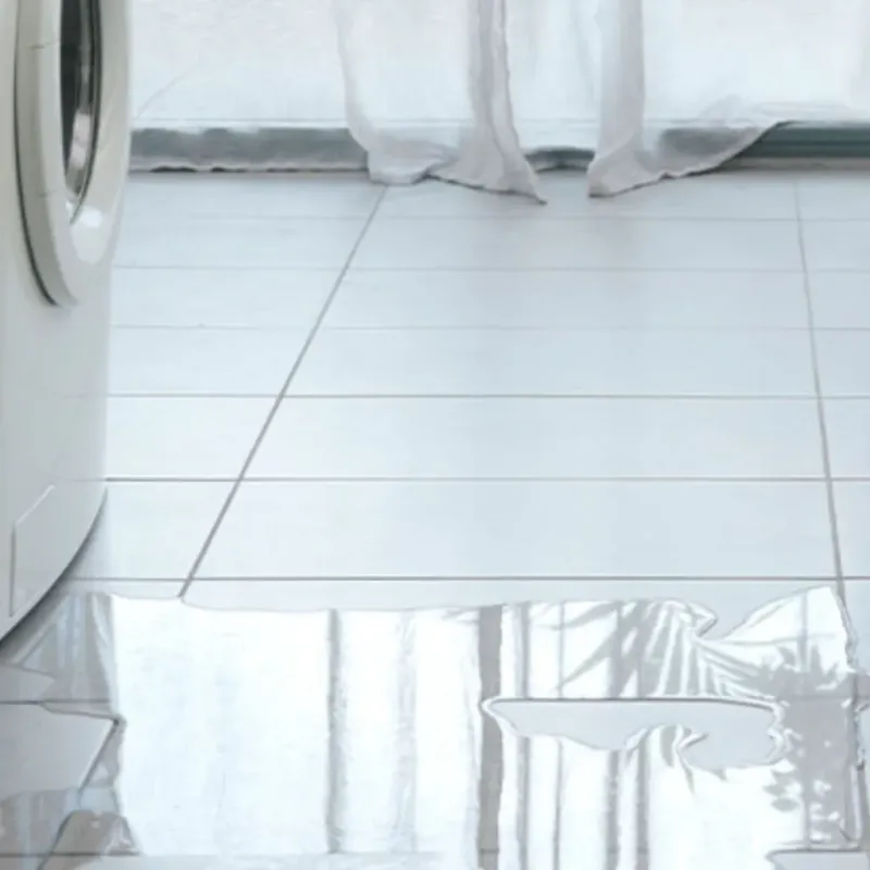 Appliance Leak Cleanup in Rio Bravo, TX