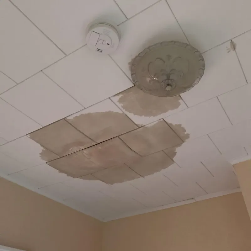 Ceiling Water Damage Repair in Rio Bravo, TX